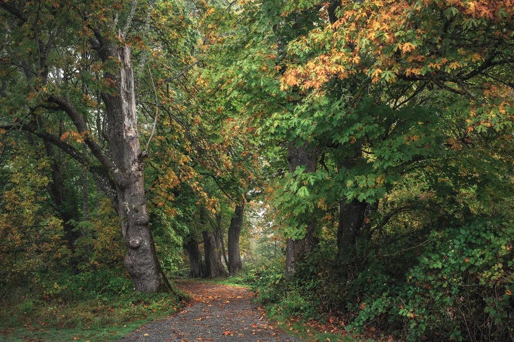 Whispers Of Fall by Louis Ruth wall art