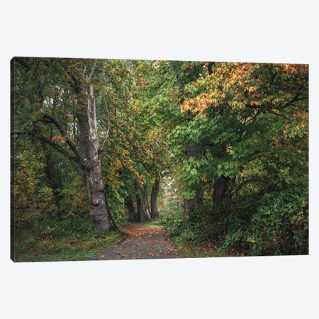 Whispers Of Fall Canvas Print #LRH742} by Louis Ruth Canvas Artwork