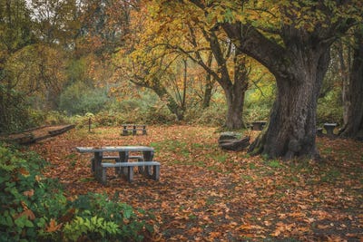 Fall Foliage Picnic Adventure by Louis Ruth canvas print