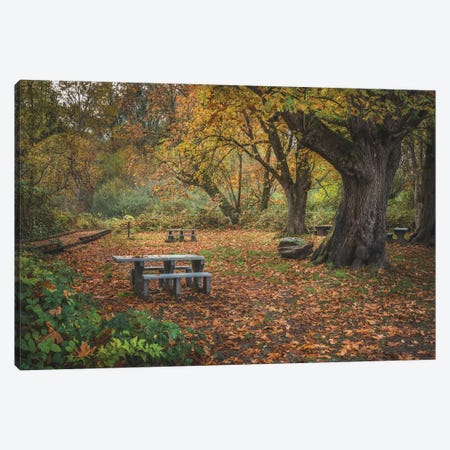 Fall Foliage Picnic Adventure Canvas Print #LRH746} by Louis Ruth Art Print