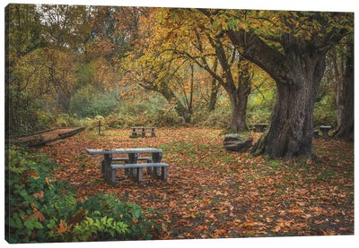 Fall Foliage Picnic Adventure Canvas Art Print - Louis Ruth
