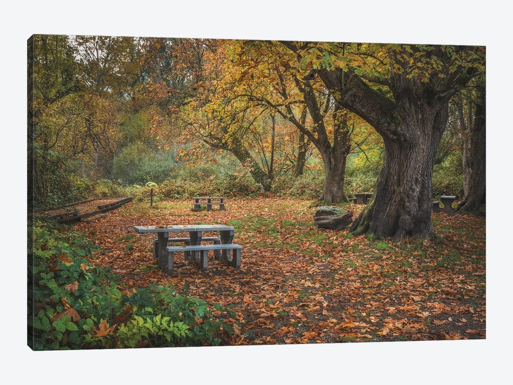 Fall Foliage Picnic Adventure by Louis Ruth 1-piece Art Print