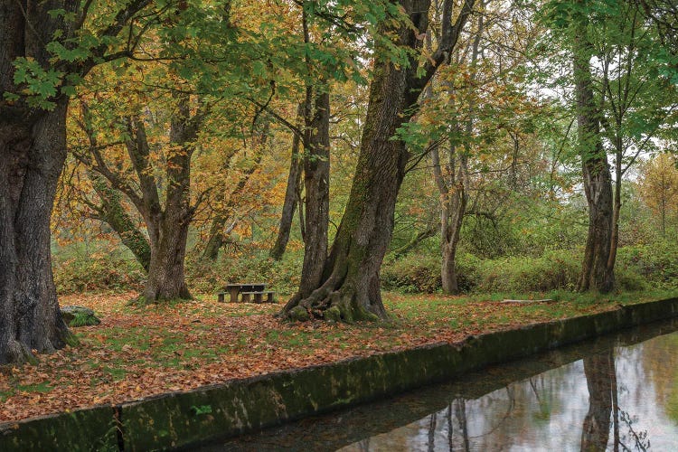 Autumn's Mirror