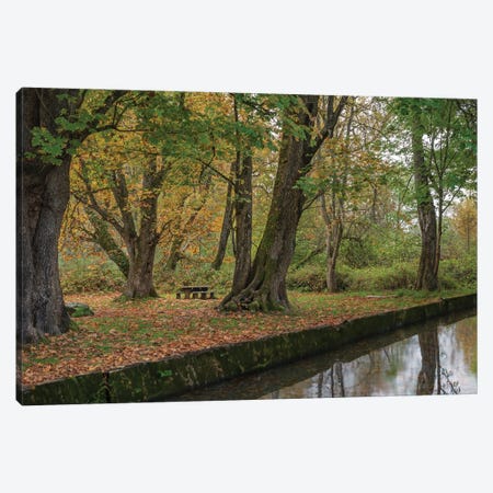 Autumn's Mirror Canvas Print #LRH749} by Louis Ruth Canvas Wall Art
