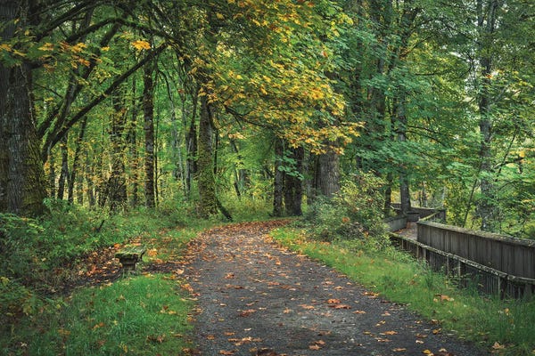 Louis Ruth: Choose Your Path Wisely by Louis Ruth