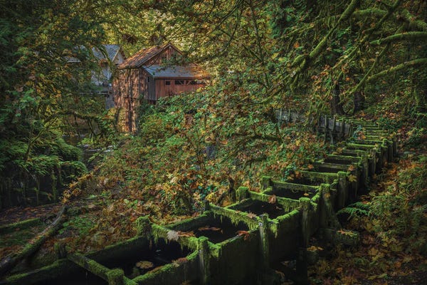 Louis Ruth: Enchanting View by Louis Ruth