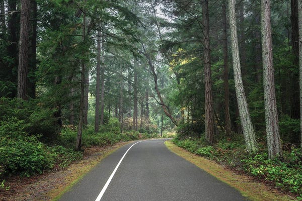 Louis Ruth: Whispers Of The Woods by Louis Ruth