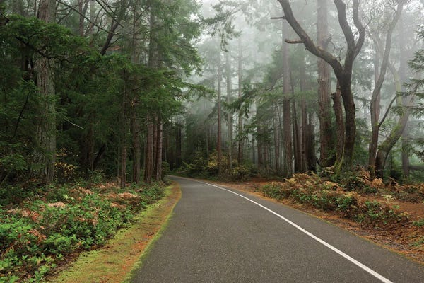 Louis Ruth: Mystical Atmosphere by Louis Ruth