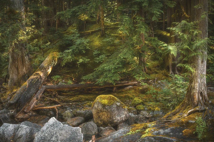 Peace And Quiet by Louis Ruth wall art