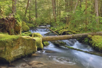 Pearsoney Creek by Louis Ruth canvas print