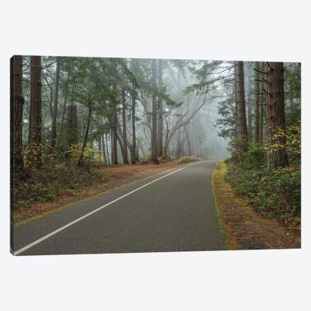 Whispers Of The Mist Canvas Print #LRH760} by Louis Ruth Canvas Wall Art