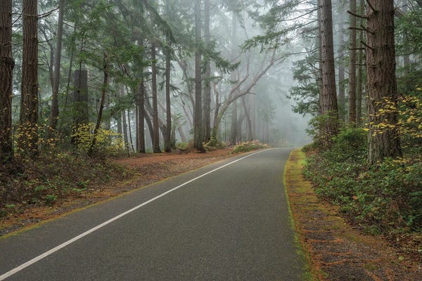 Louis Ruth: Whispers Of The Mist by Louis Ruth