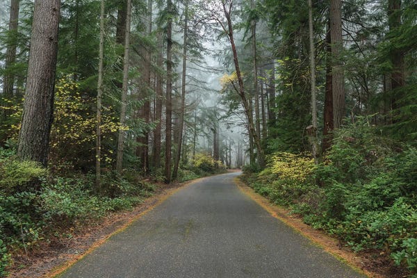 Louis Ruth: Into The Mist by Louis Ruth