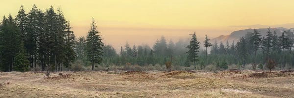 Louis Ruth: Fog-Kissed Dawn by Louis Ruth