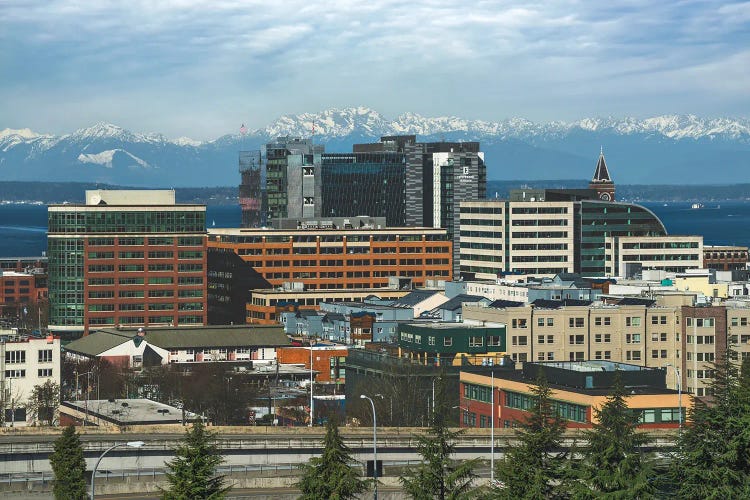 Cityscapes And Snowcaps