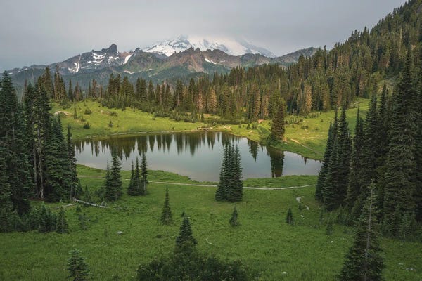 Washington: Timeless Presence At Tipsoo Lake by Louis Ruth