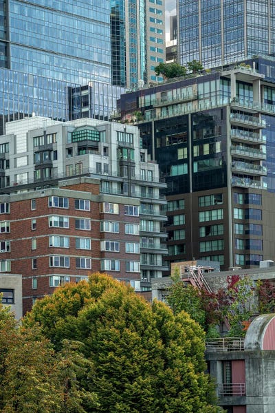 Louis Ruth: Urban Nature by Louis Ruth