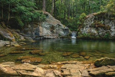 Pooling by Louis Ruth canvas print