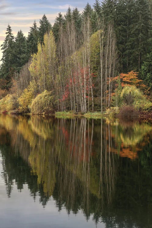 Autumn's Reflection by Louis Ruth wall art