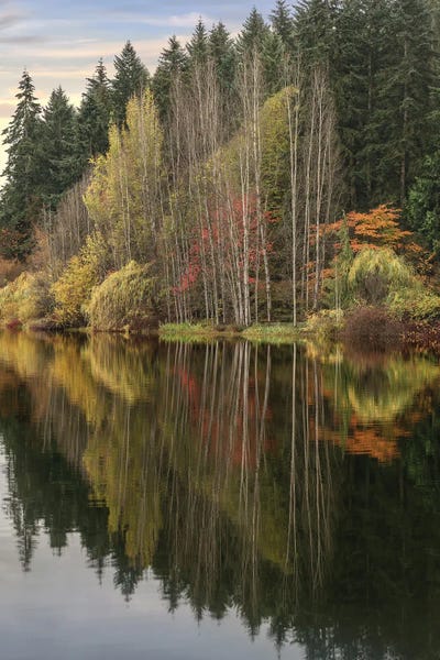 Louis Ruth: Autumn's Reflection by Louis Ruth