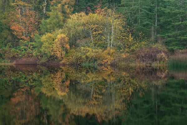 Louis Ruth: Echoes Of Autumn by Louis Ruth