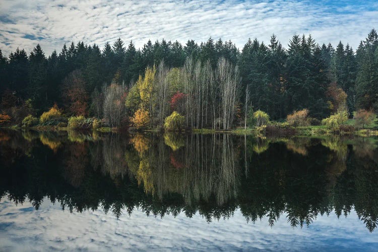 Mirror Of Autumn