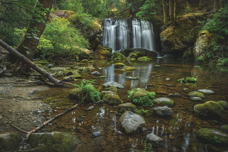 Present Reflections by Louis Ruth wall art
