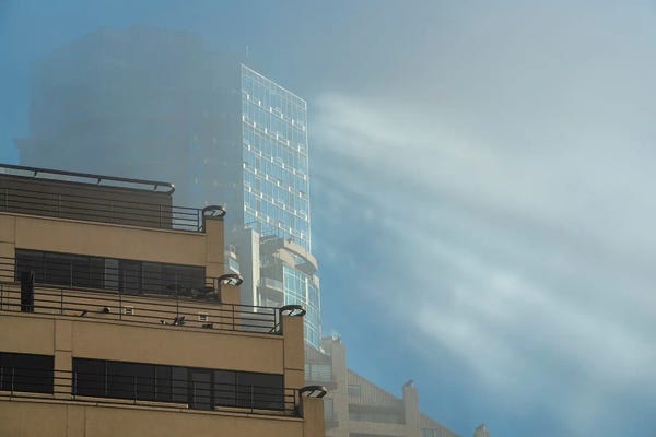 Fog-Kissed Sunbeams