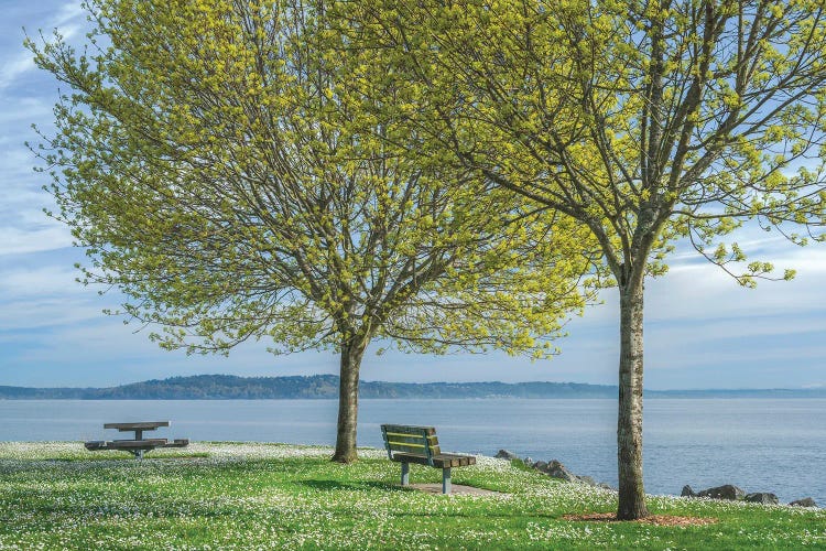 This Is Spring 2025 by Louis Ruth wall art