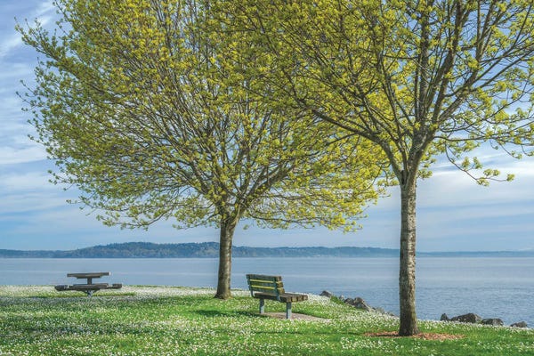 Louis Ruth: This Is Spring 2025 by Louis Ruth