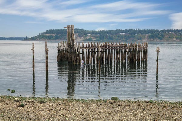 Pier Into Time