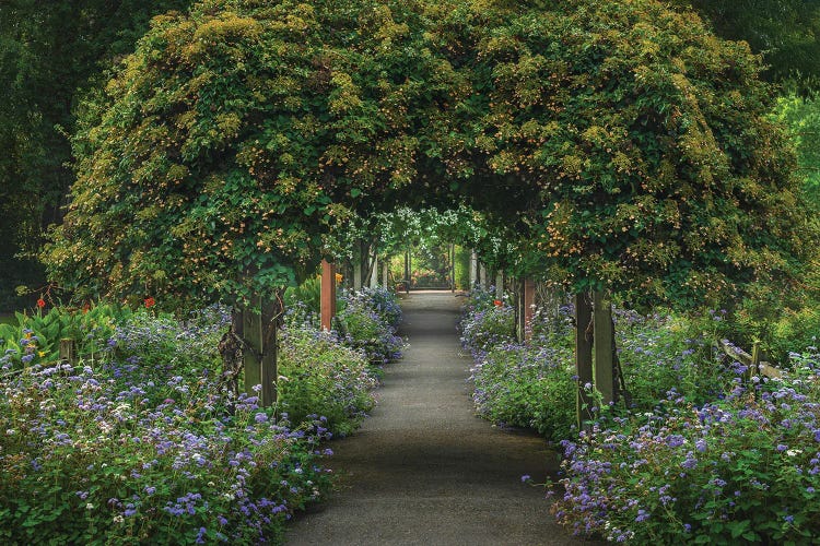 Hear The Silence by Louis Ruth wall art