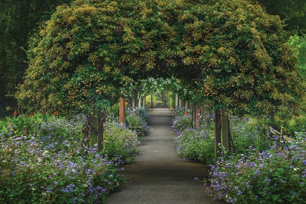 Louis Ruth: Hear The Silence by Louis Ruth