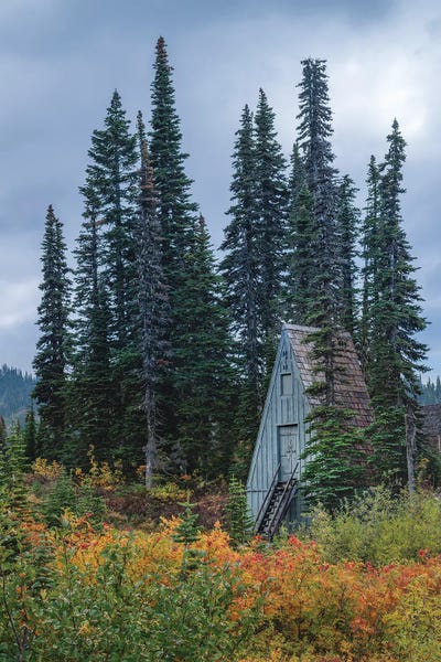 Louis Ruth: Nestled A-Frame by Louis Ruth