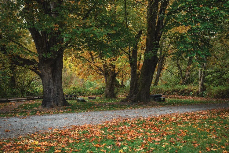 Where The Earth Breathes Gold Print by Louis Ruth wall art