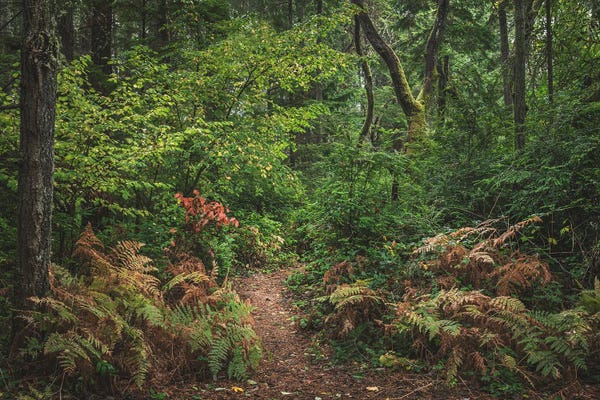 The Quiet Passage