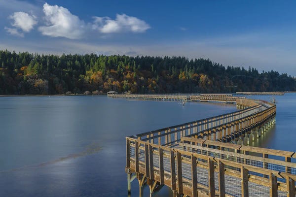 Louis Ruth: Autumns Gentle Passage At Nisqually by Louis Ruth