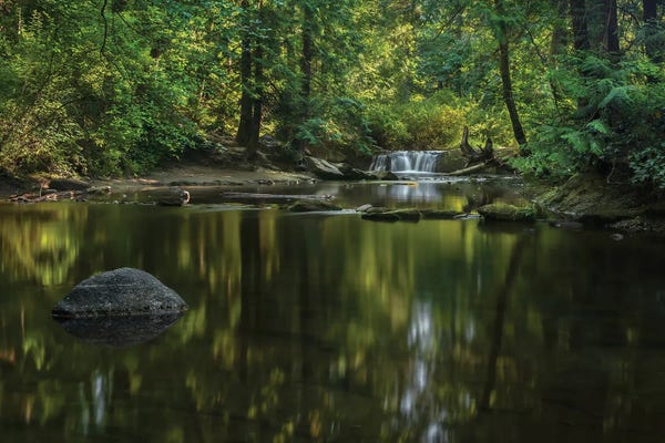 Serenity Is Contagious