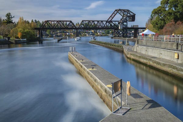 Louis Ruth: The Quiet Draw by Louis Ruth