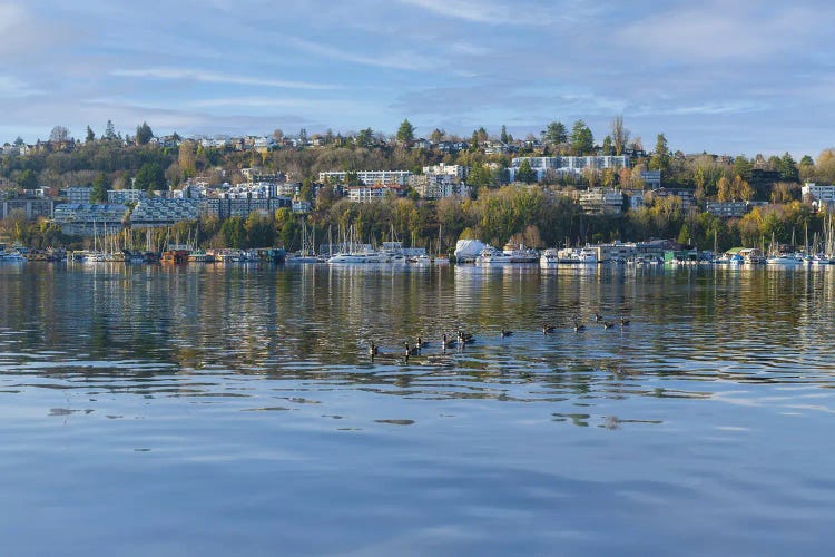 Life On Lake Union