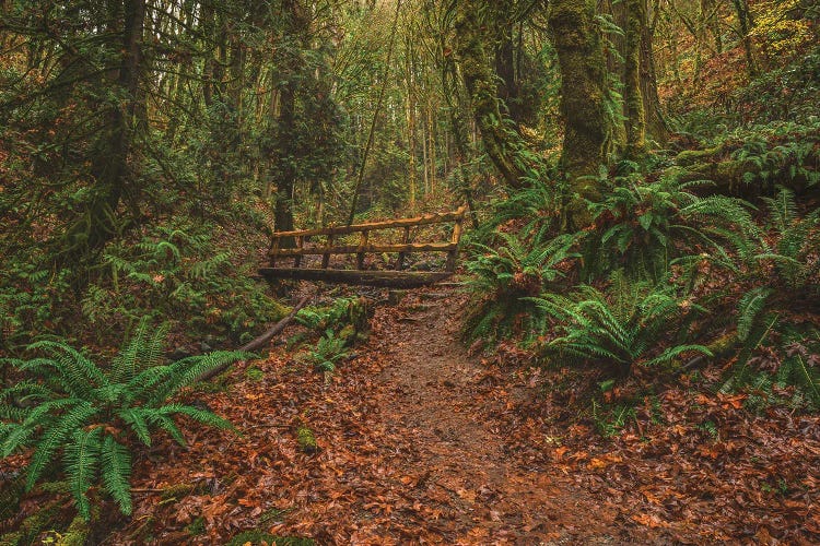 Denny Creek Trail