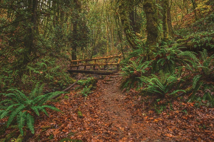 Denny Creek Trail by Louis Ruth wall art