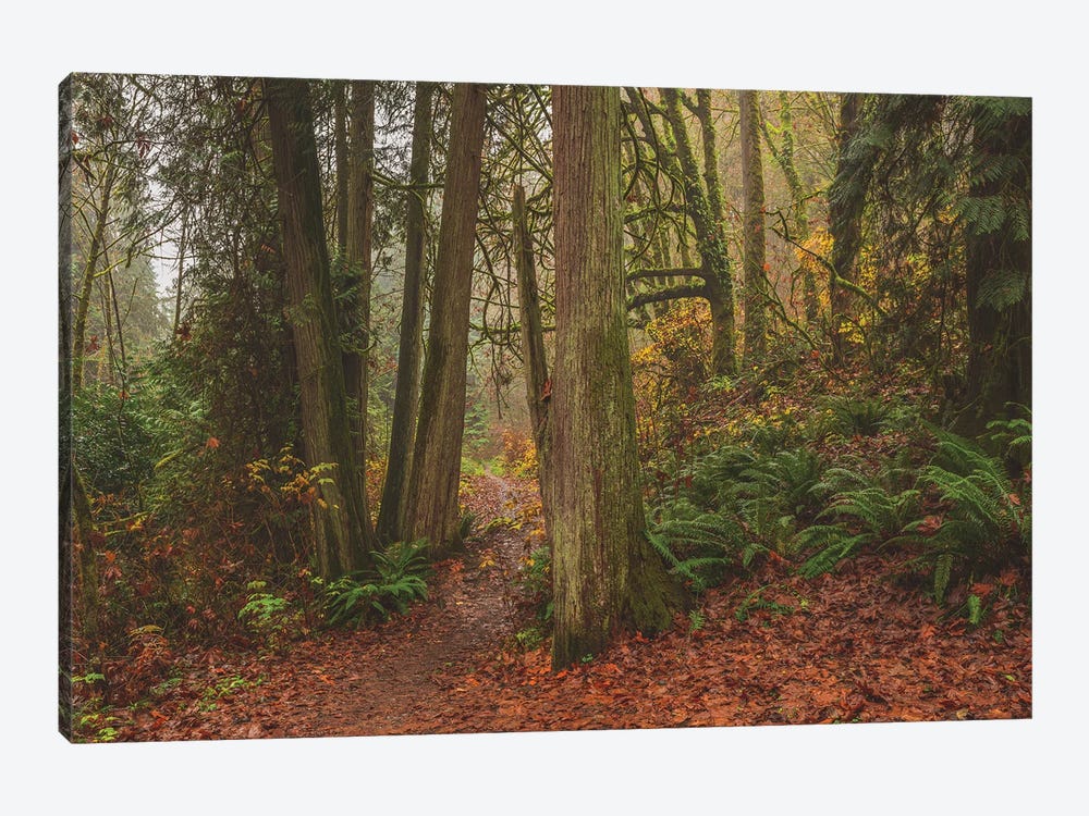 A Fairytale Like Forest by Louis Ruth 1-piece Canvas Wall Art