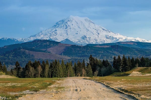 The Road To Rainier