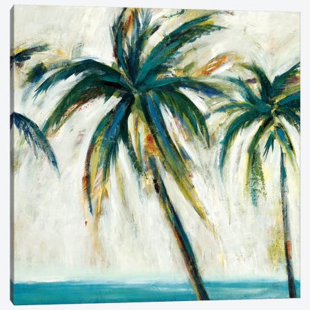 Palms I Canvas Print #LRI108} by Lisa Ridgers Canvas Print