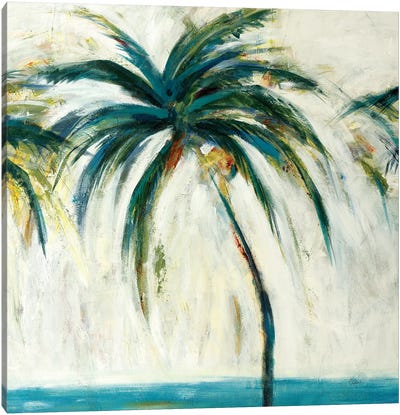 Palms II Canvas Art Print - Lisa Ridgers