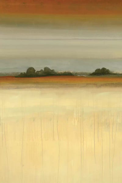 Contemporary Vista by Lisa Ridgers canvas print