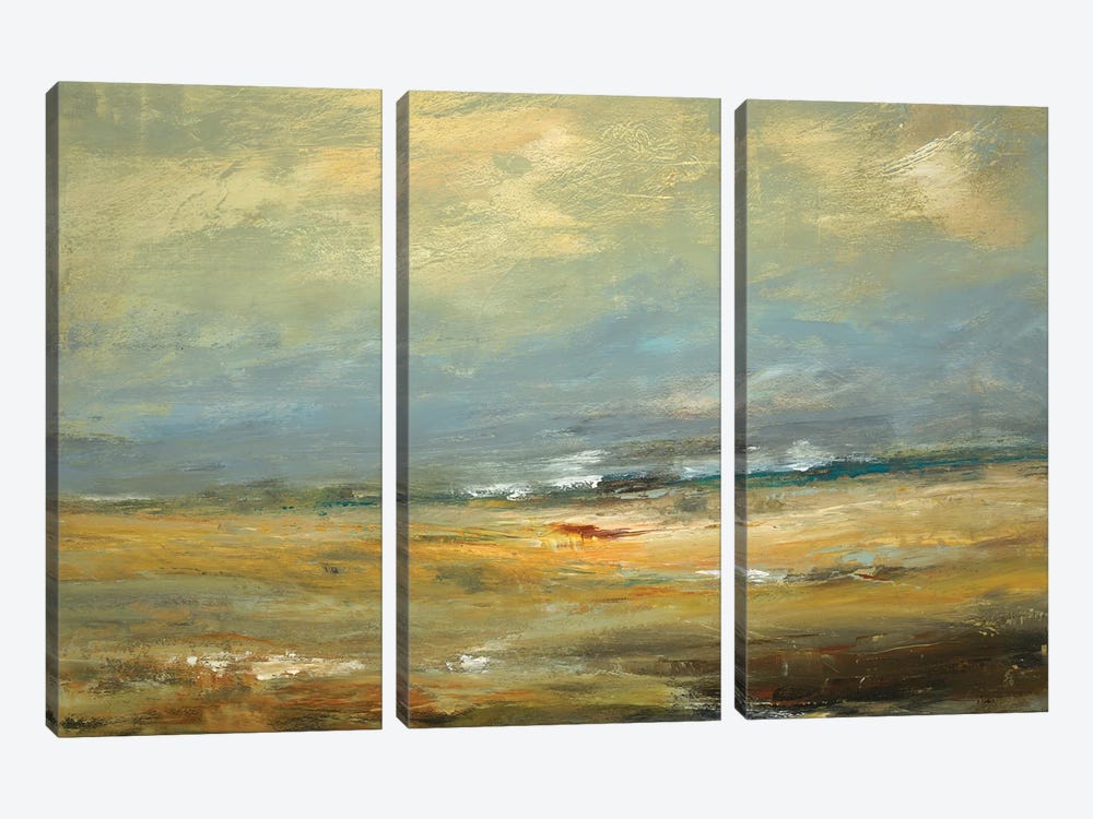 Sunlit Land by Lisa Ridgers 3-piece Canvas Art