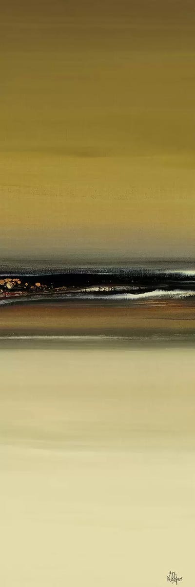 Enchantment II by Lisa Ridgers framed canvas print