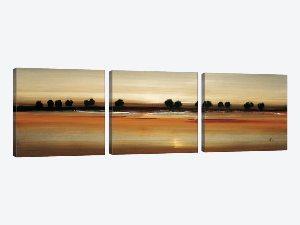 Golden Plains by Lisa Ridgers 3-piece Canvas Print
